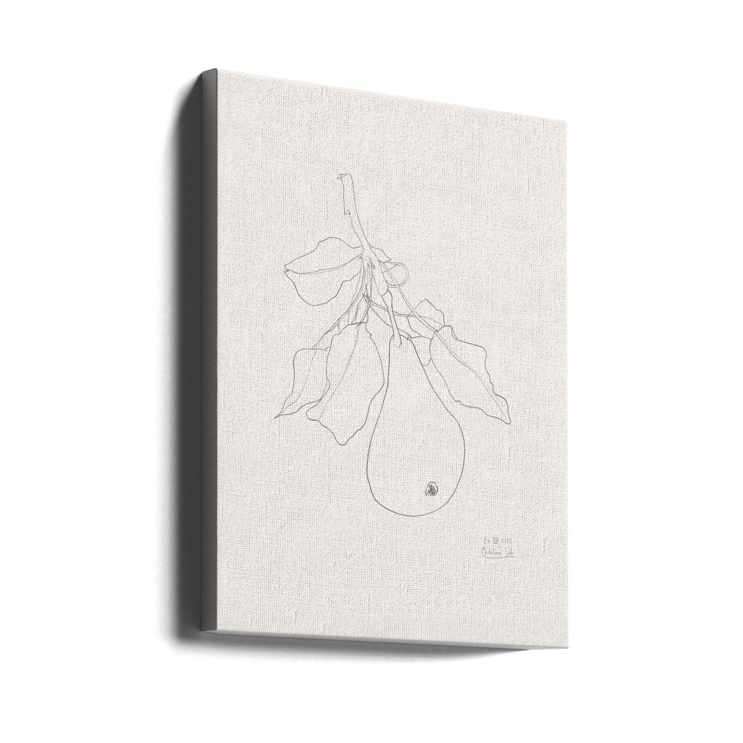 Elegant päronskiss | Canvas