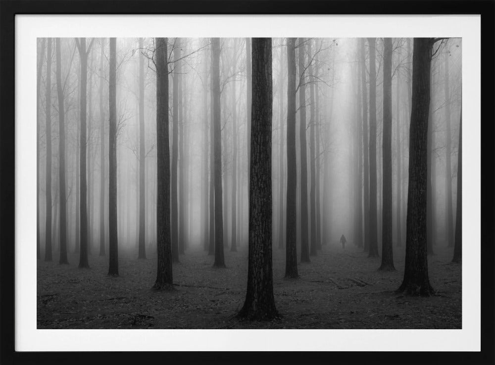 En la niebla | Posters  - Impresiones de Arte
