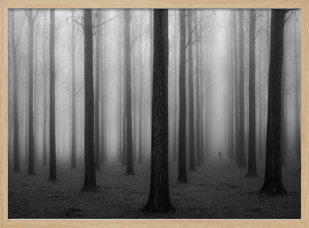 En la niebla | Posters  - Impresiones de Arte