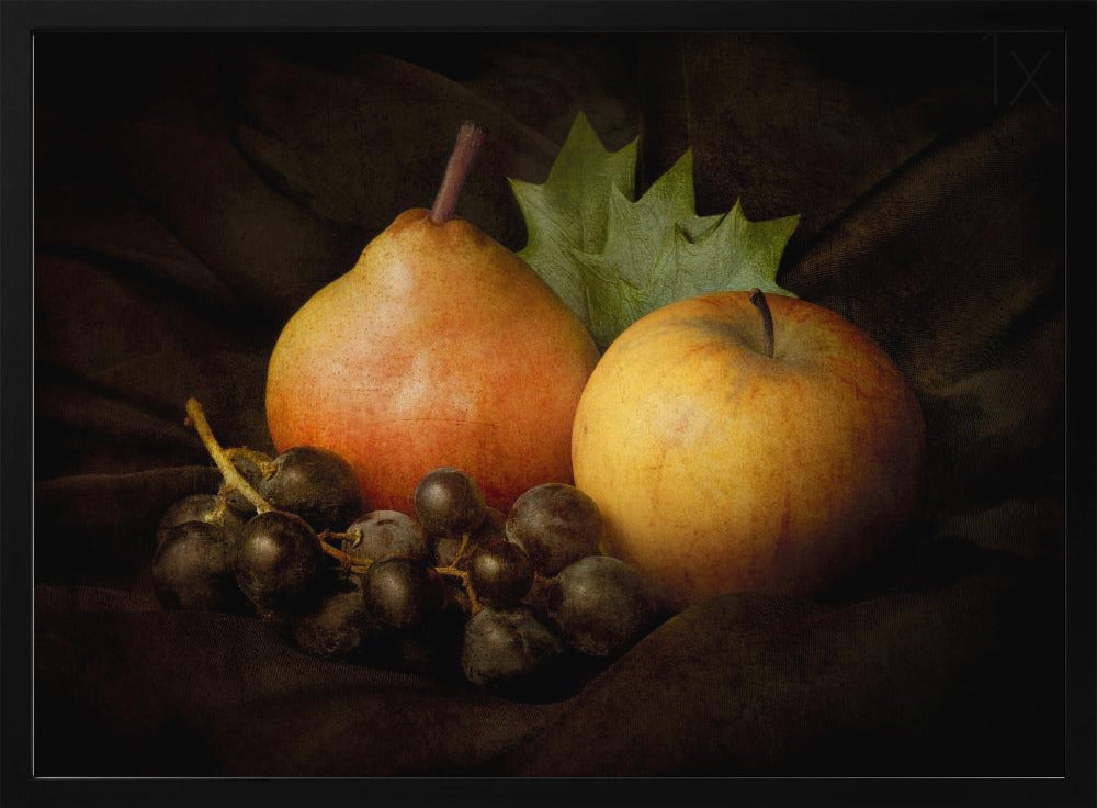 Natures mortes #3 | Posters - Affiche Artistique