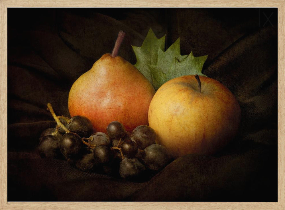 Natures mortes #3 | Posters - Affiche Artistique