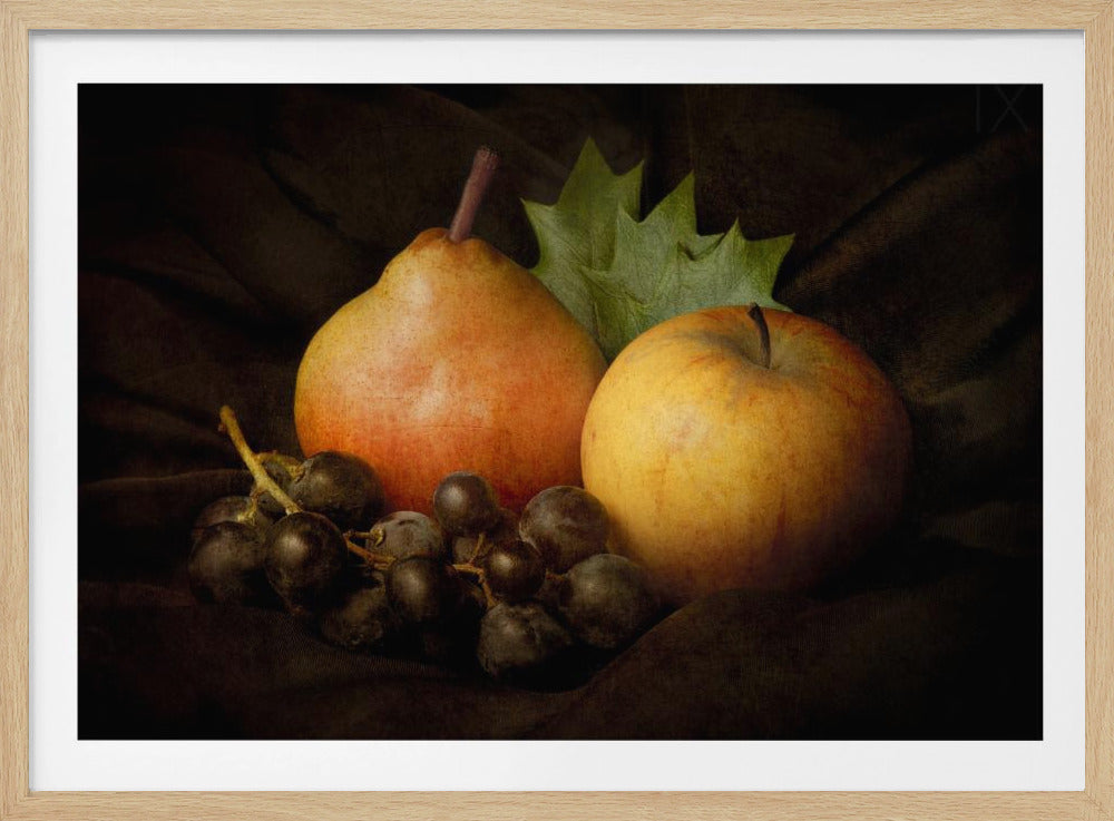 Natures mortes #3 | Posters - Affiche Artistique
