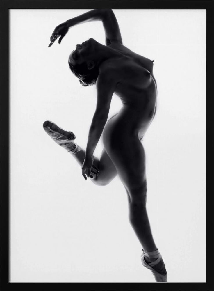 Fine Art Dance ... | Poster