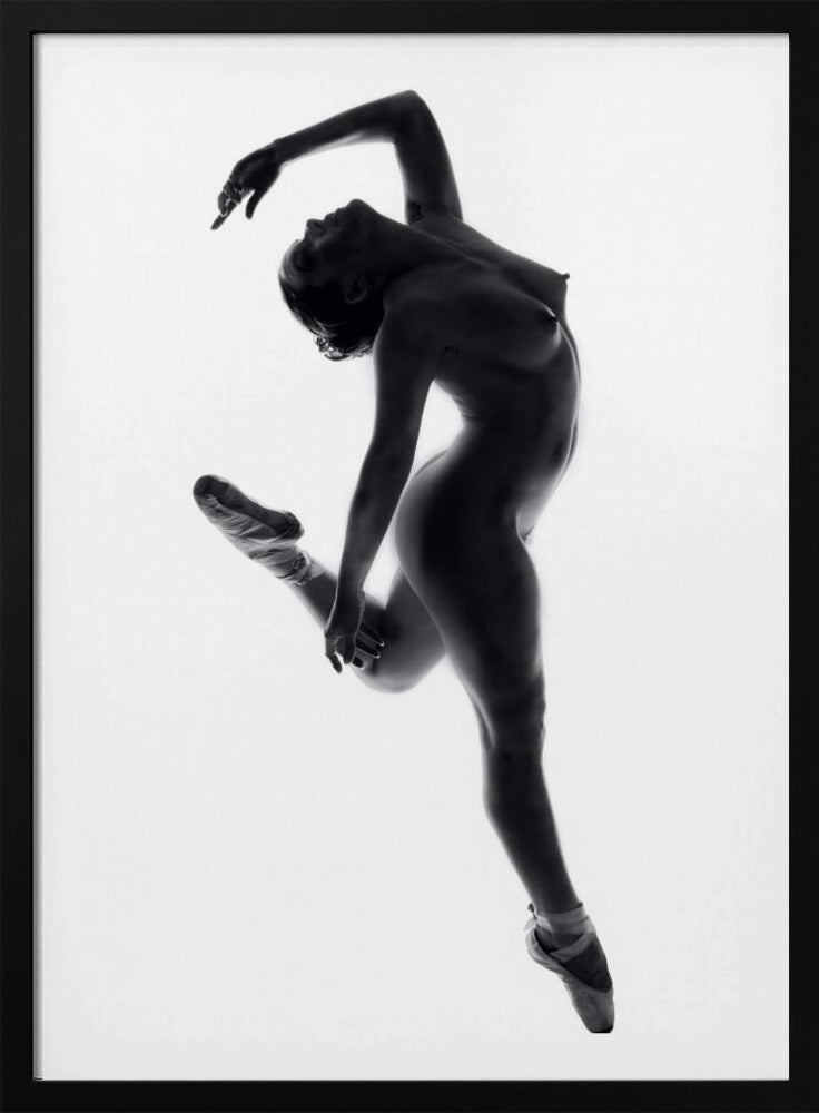 Fine Art Dance ... | Poster