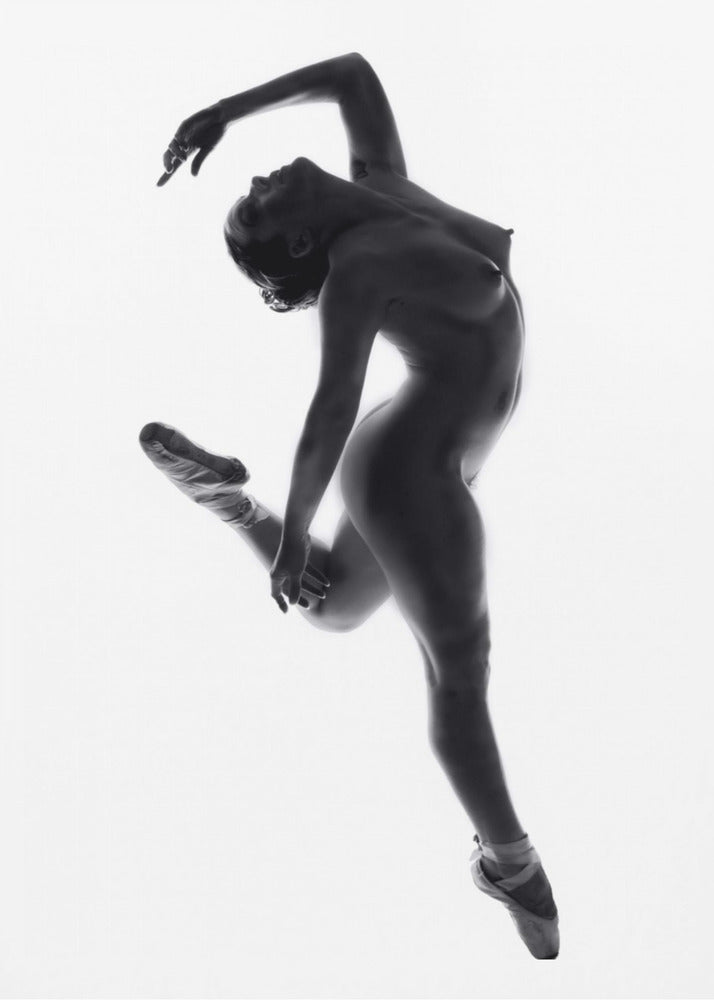 Fine Art Dance ... | Poster