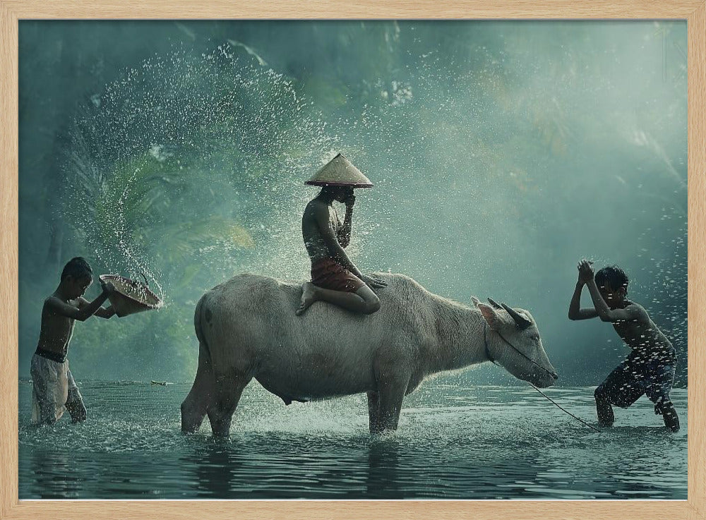 Buffle d'eau | Posters - Affiche Artistique