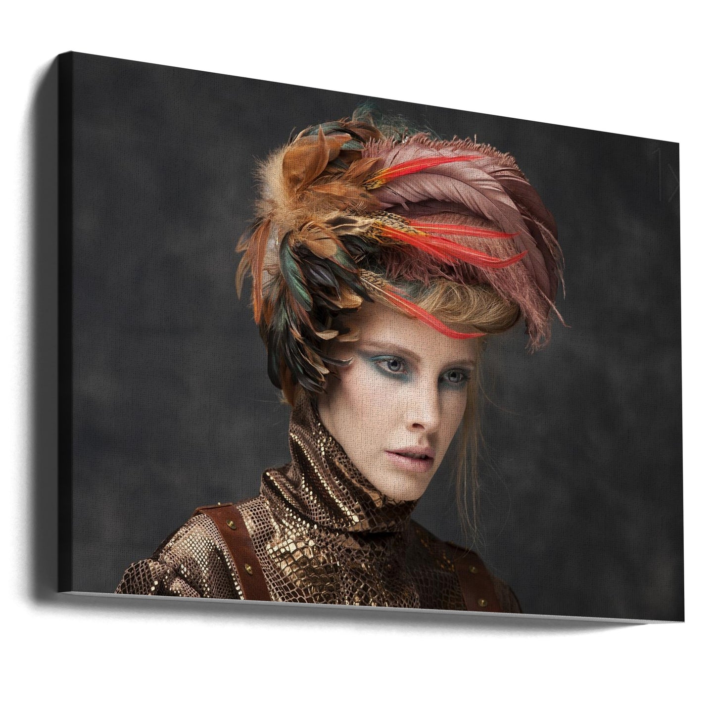 Plumas | Impresiones en Lienzo