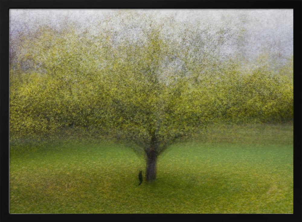 Die Katze am Baum | Poster - Kunstdruck