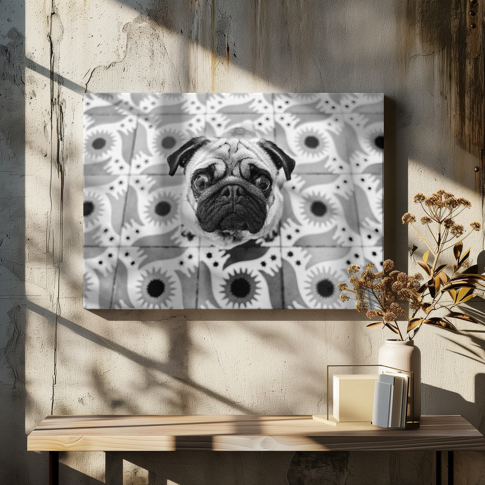 Vudú | Canvas