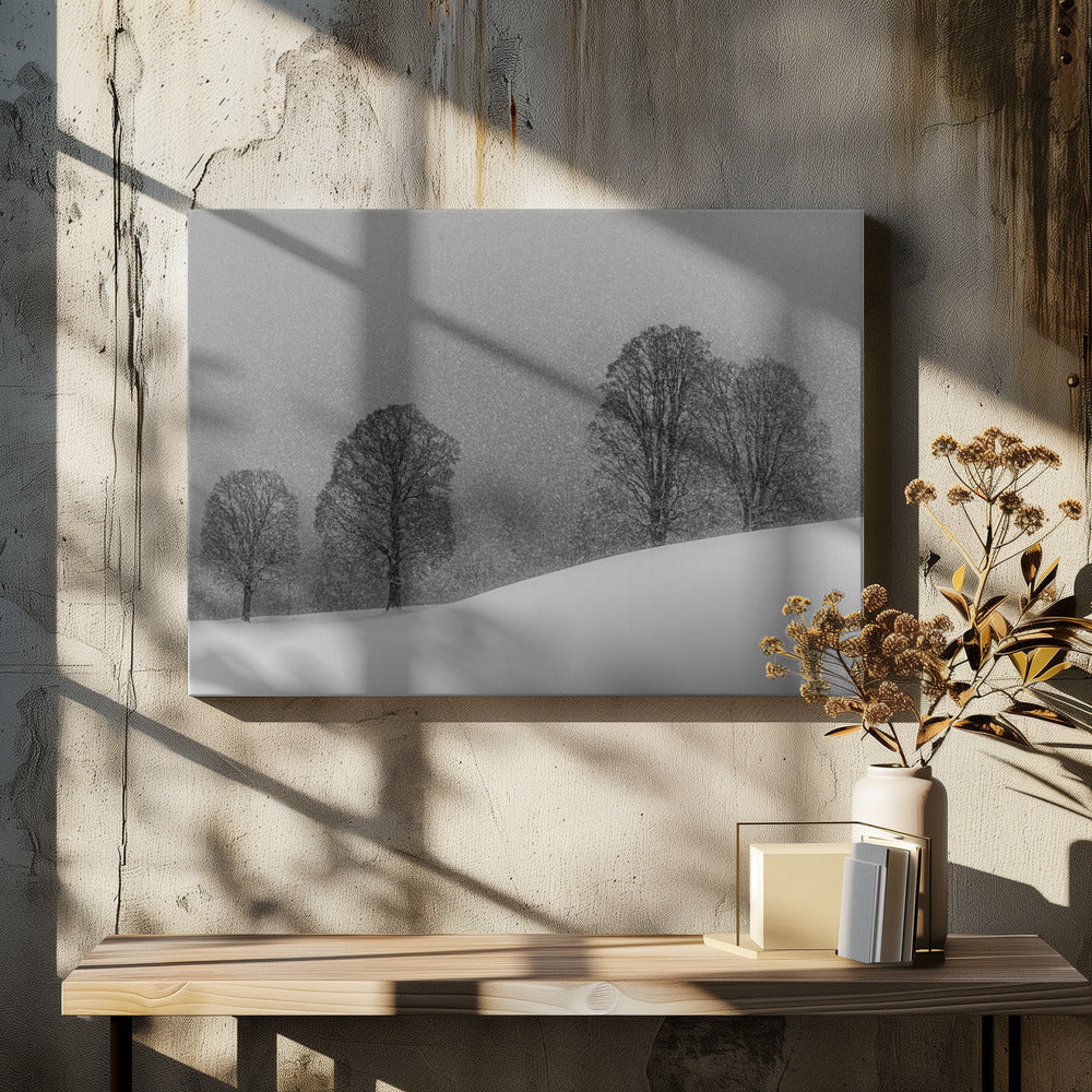 snow white | Canvas