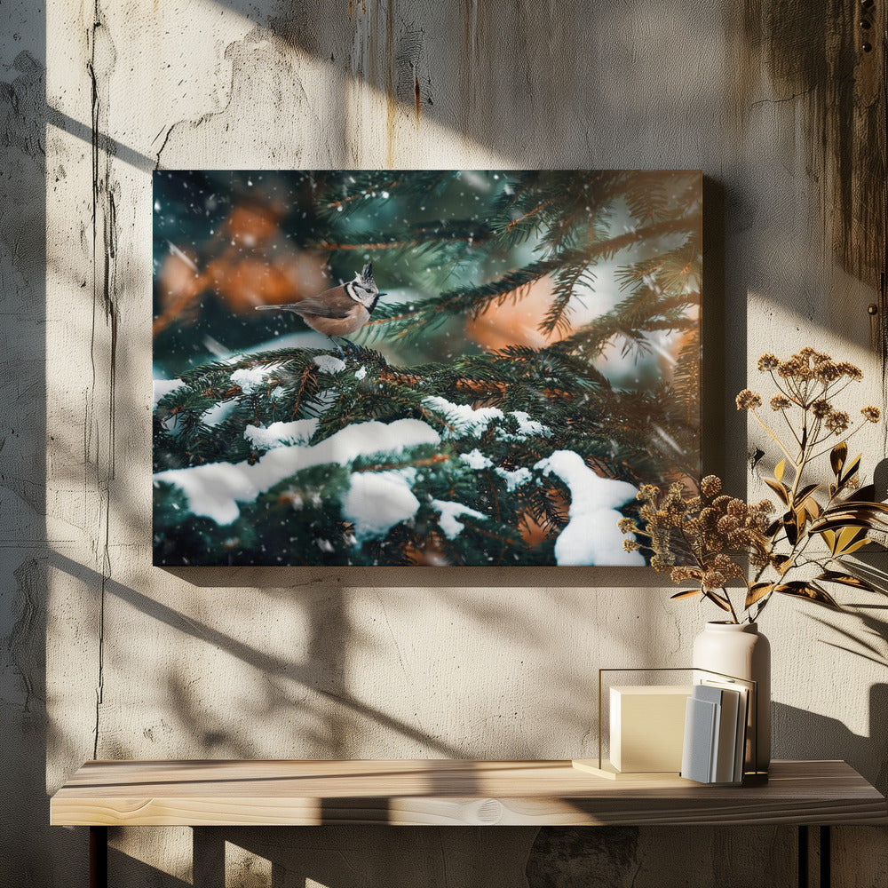 Punky | Canvas