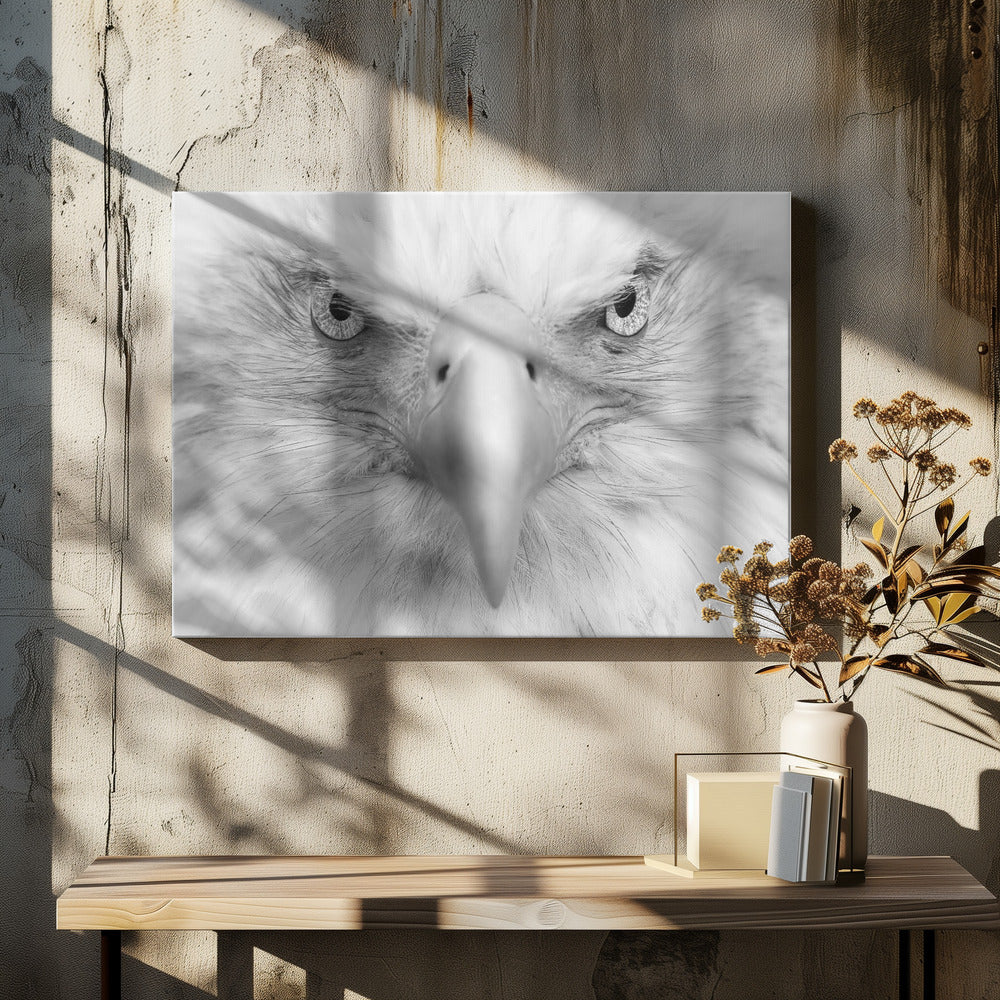 Yeux tueurs | Tableaux sur Toile