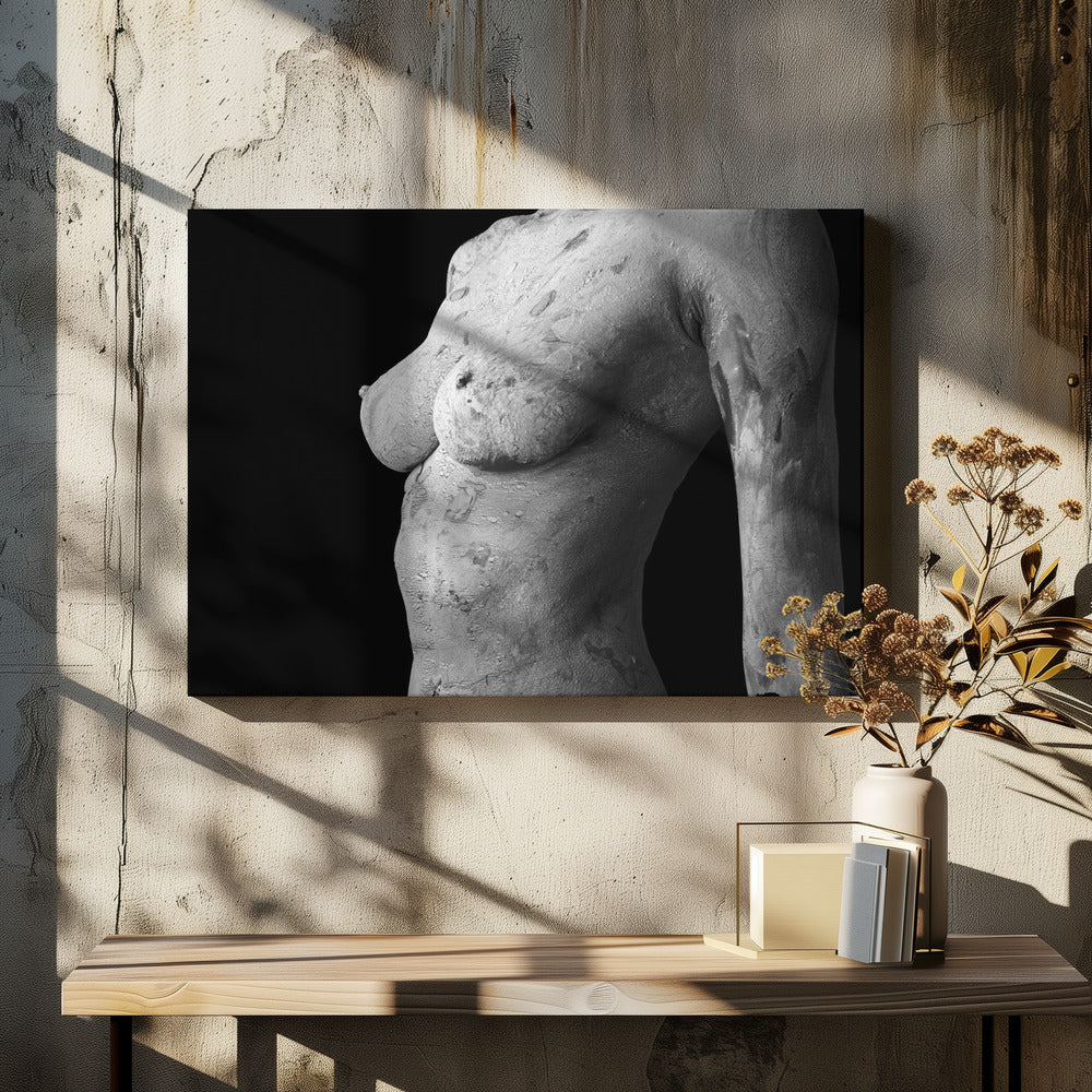 Avvikande skönhet | Canvas