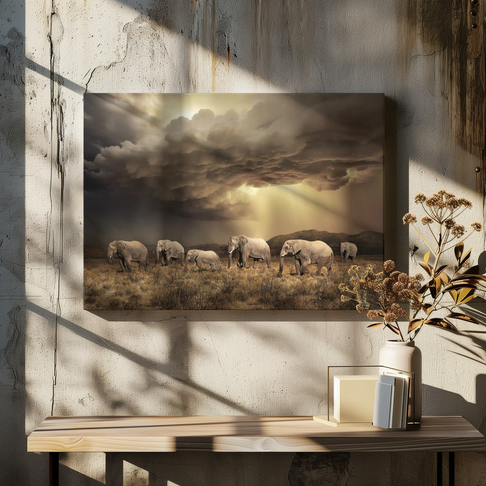 FriaElefanter | Canvas