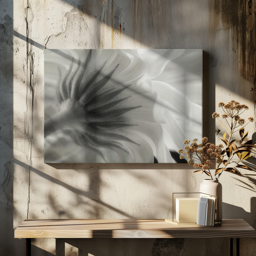 Calendula | Canvas