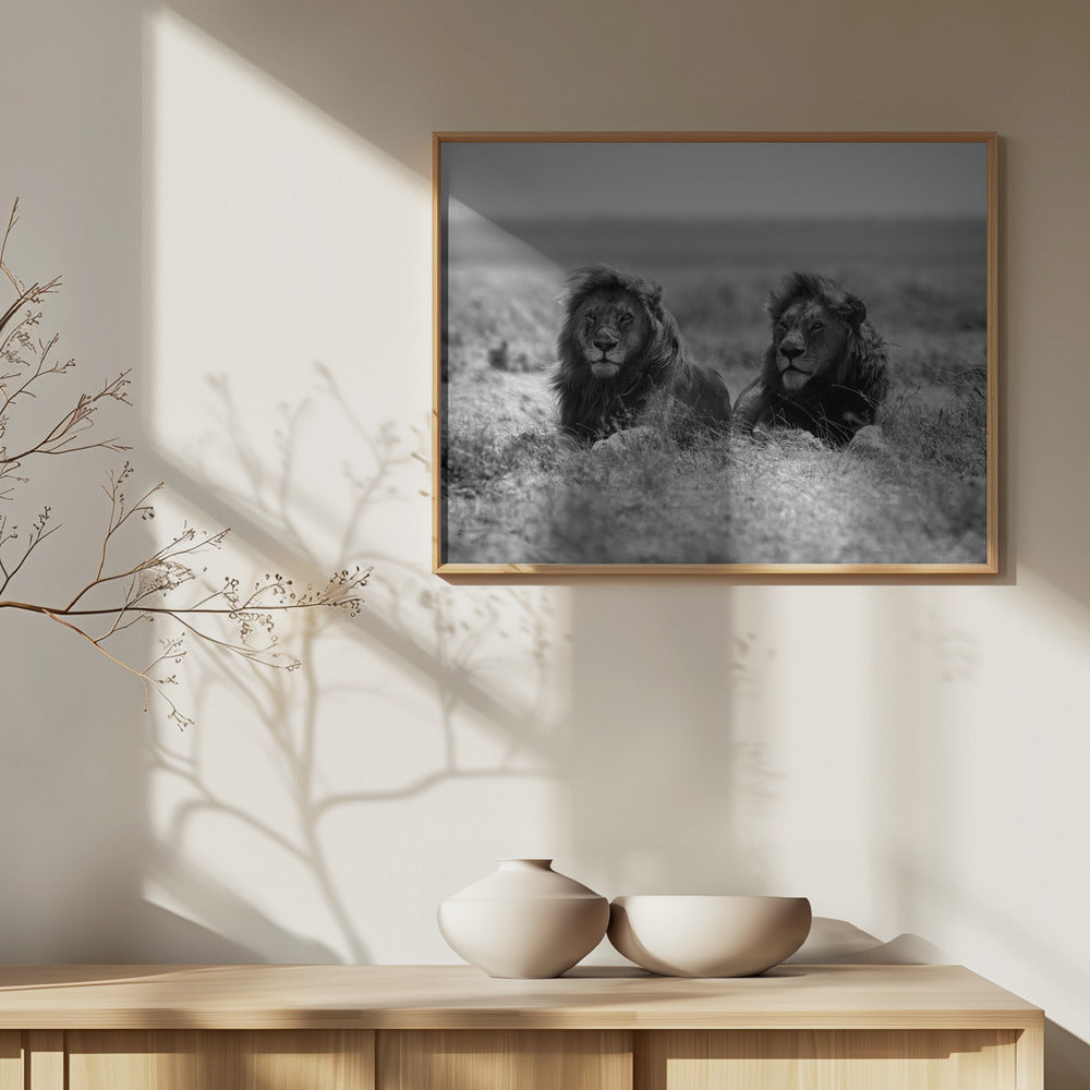 Due re | Poster - Stampe d’Arte