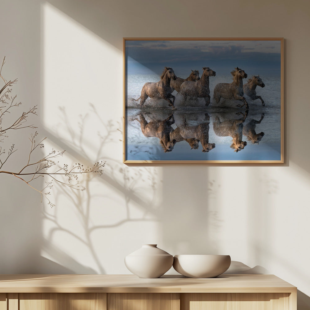 Cavalli e riflessione | Poster - Stampe d’Arte