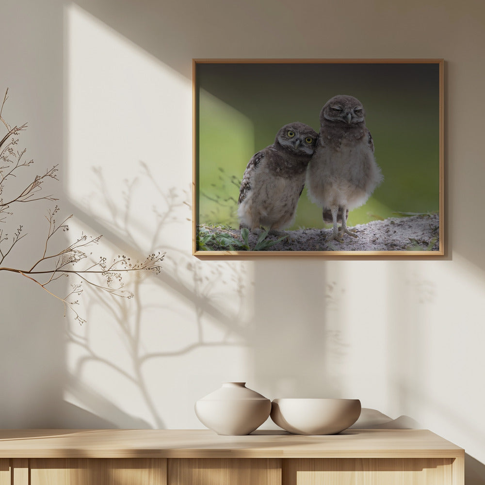 Freunde | Poster - Kunstdruck