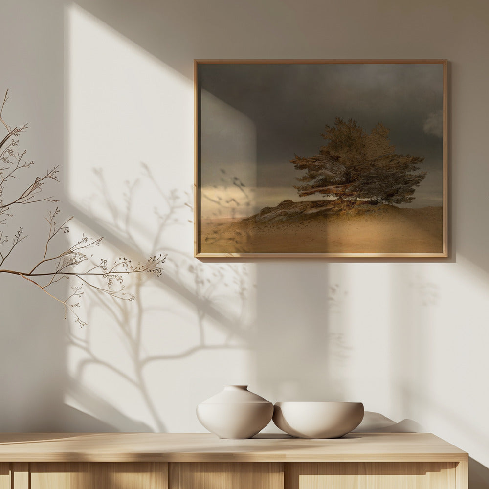 Pine and dunes | Poster