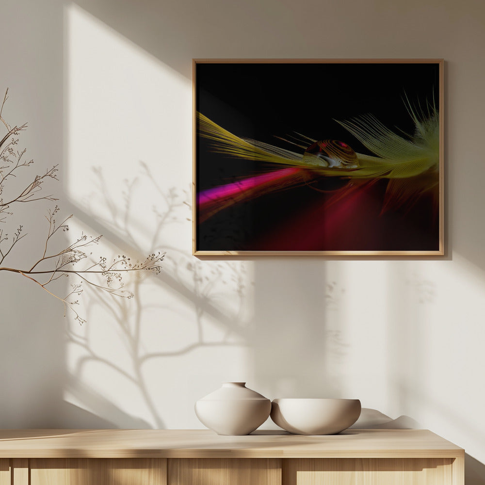 Colores en la gota | Posters  - Impresiones de Arte