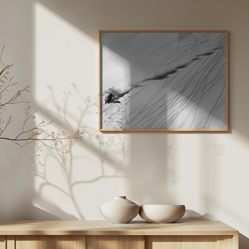 Skidåkning i pulver | Poster