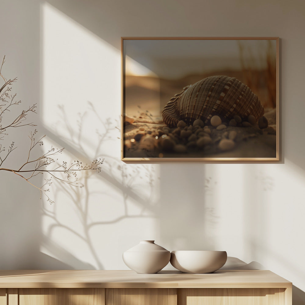 Seashell Serenity | Poster