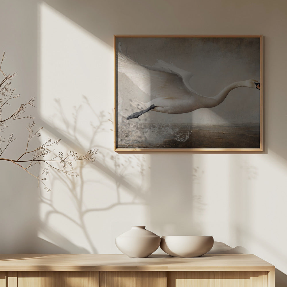Graceful Flight | Poster