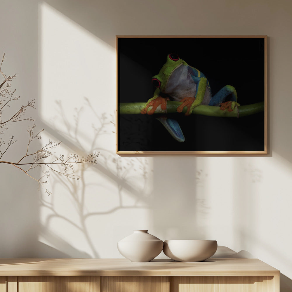 Nysgerrighed | Plakater - Kunsttryk