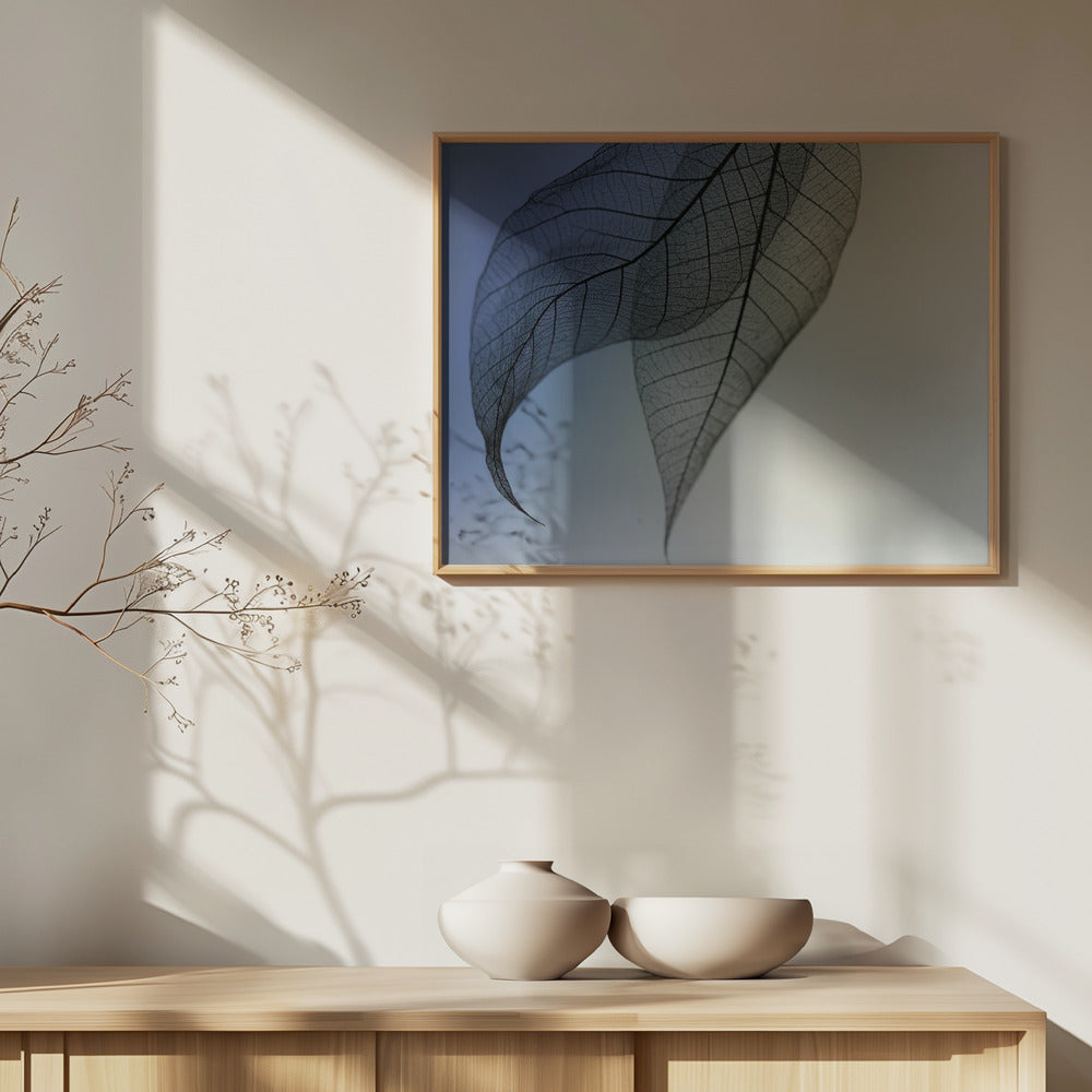 Cavatina | Plakater - Kunsttryk
