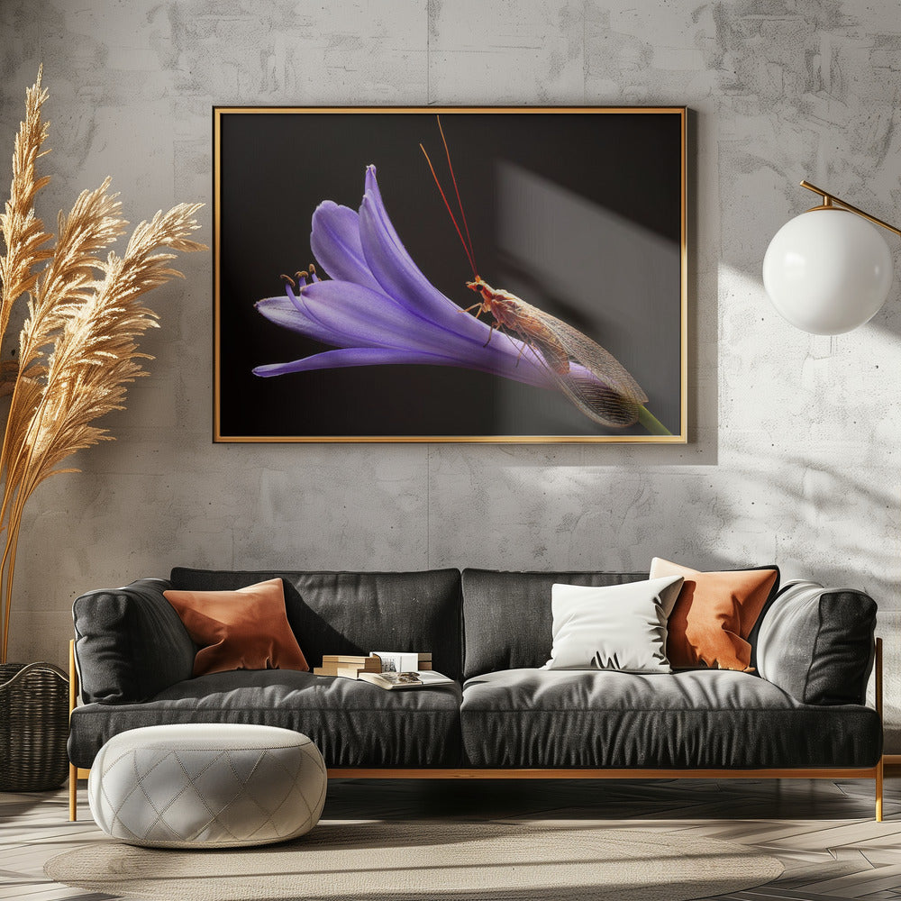 Lacewing | Poster