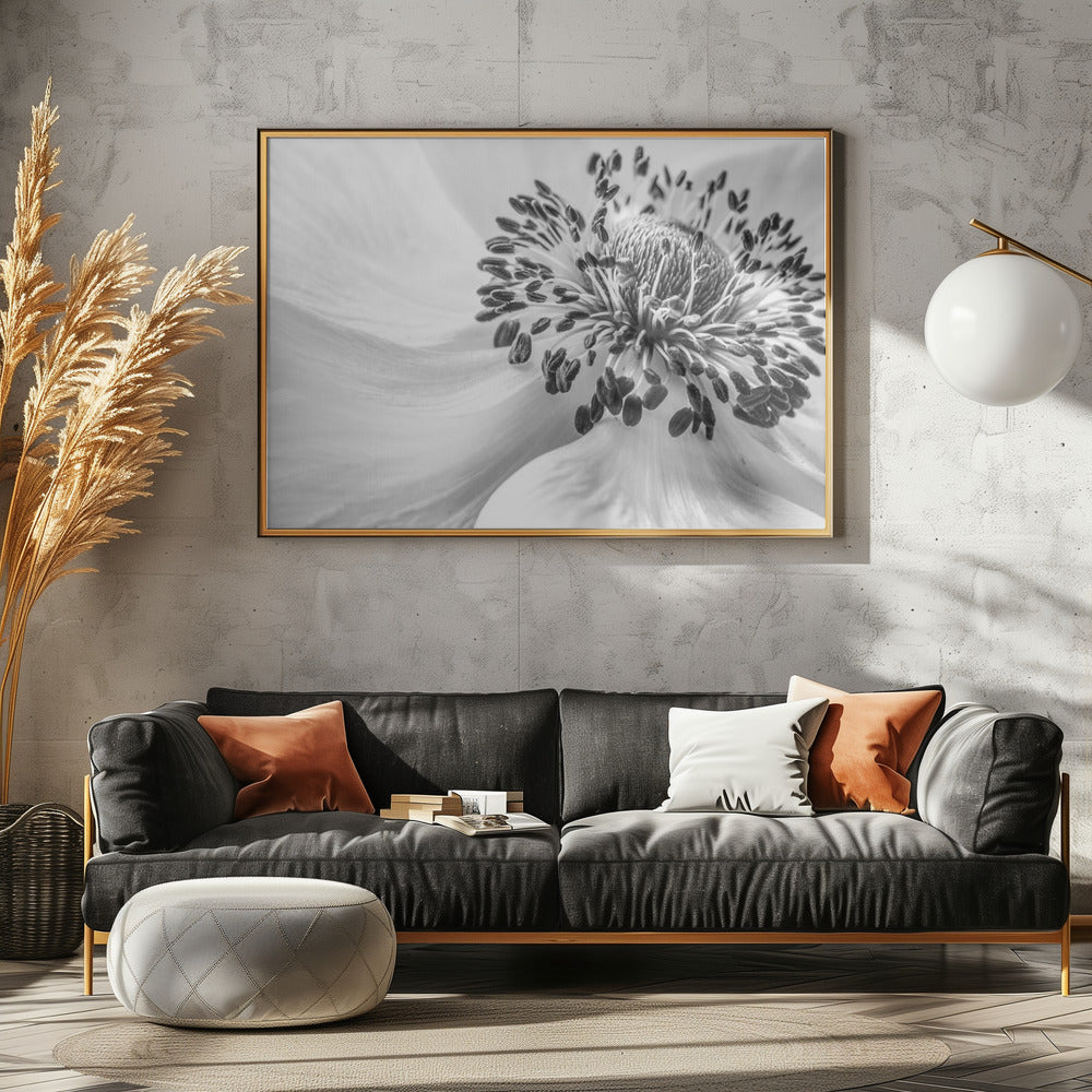 Anemone | Plakater - Kunsttryk