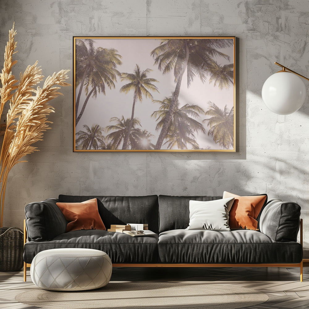 Blush Palmer | Poster