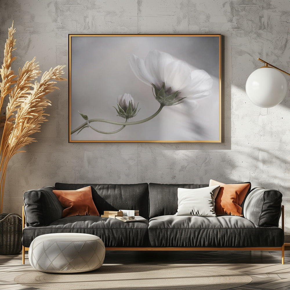 Semplicemente Cosmo | Poster - Stampe d’Arte