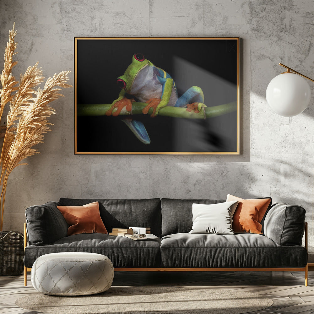 Nysgerrighed | Plakater - Kunsttryk