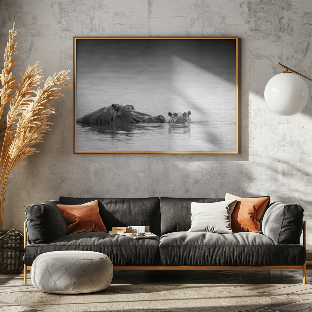 Livello degli occhi | Poster - Stampe d’Arte