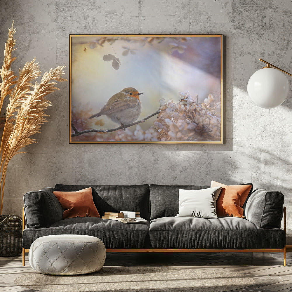 Robin en sueños | Posters  - Impresiones de Arte