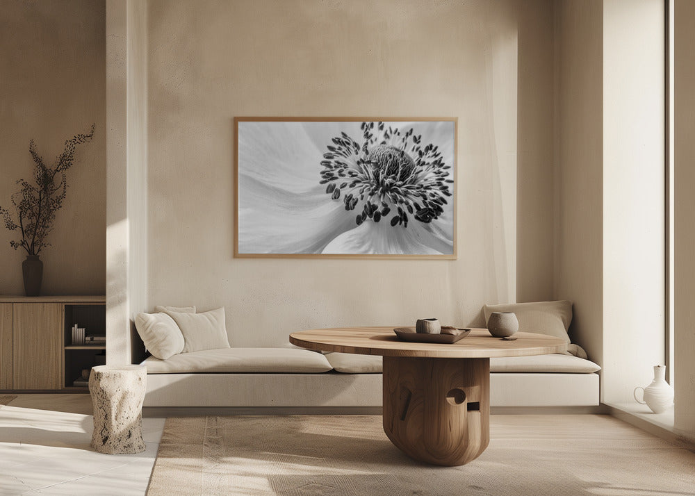 Anemone | Plakater - Kunsttryk