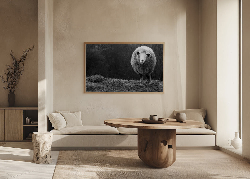 Wundernde Schafe | Poster - Kunstdruck