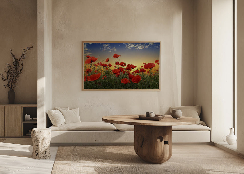 Valmuer | Plakater - Kunsttryk