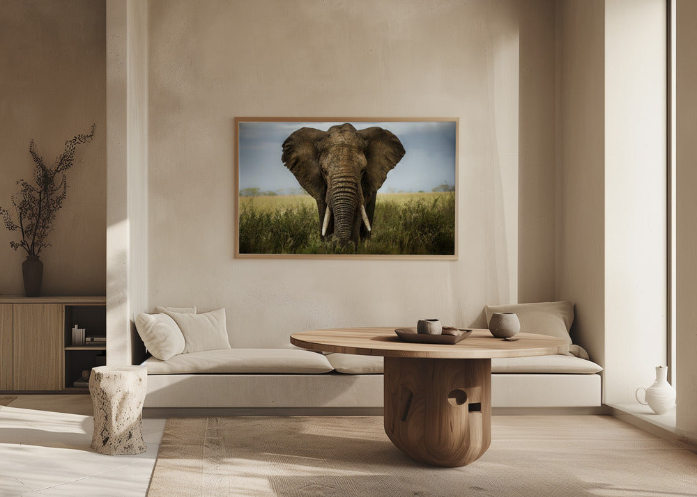 Encuentros en el Serengeti | Posters  - Impresiones de Arte