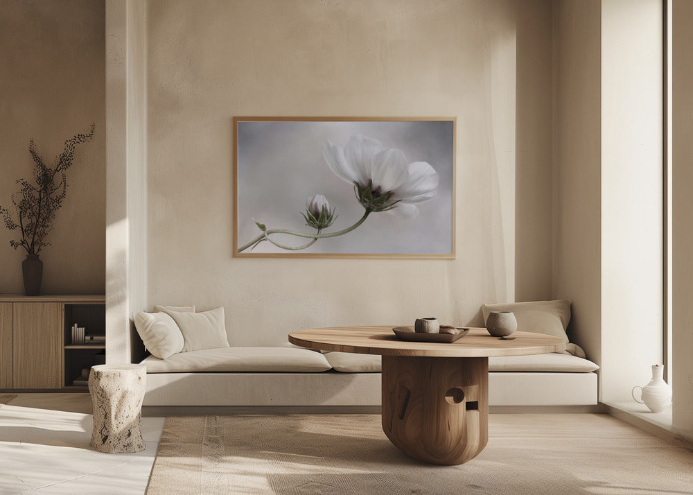 Semplicemente Cosmo | Poster - Stampe d’Arte