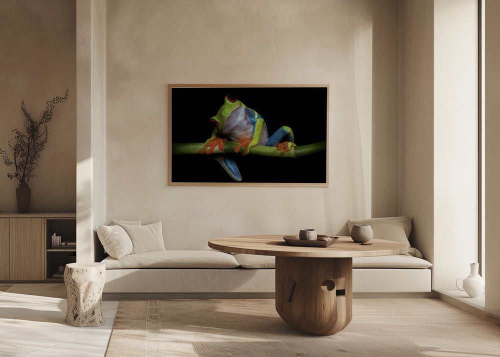 Nysgerrighed | Plakater - Kunsttryk