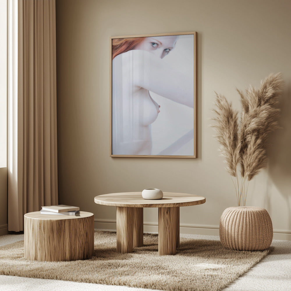 Shapes and Curves 1 | Poster