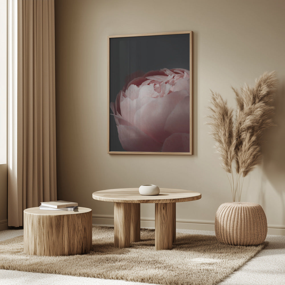 Moody blush peony II | Poster