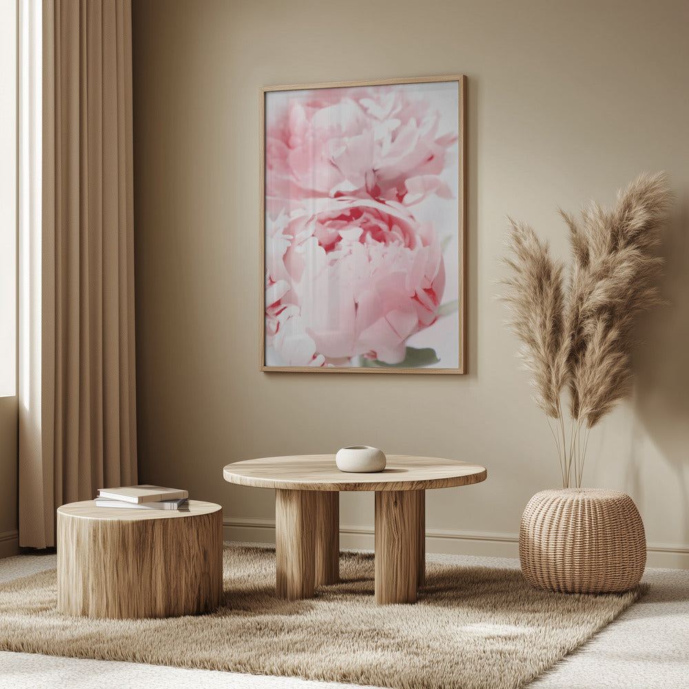 Bllush peony X | Poster
