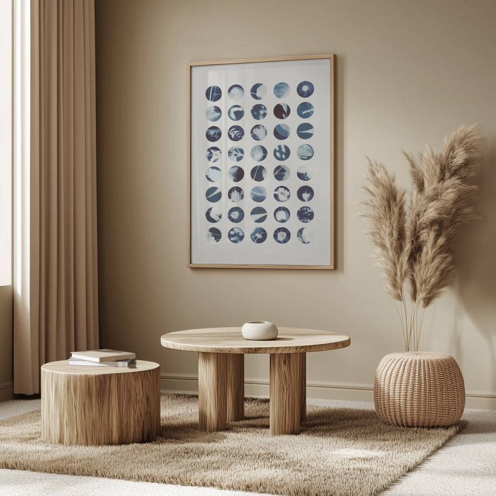 Botaniska cyanotypier | Poster