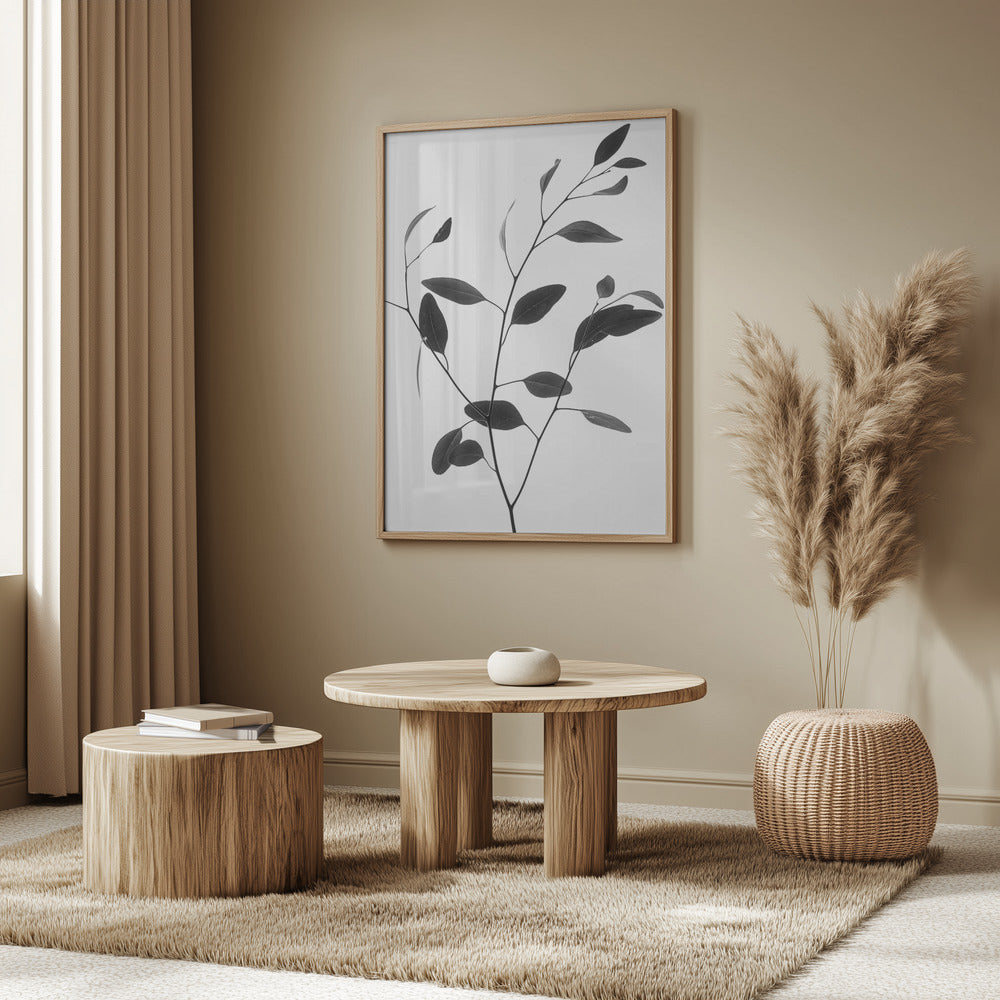 Delicate Branch | Poster