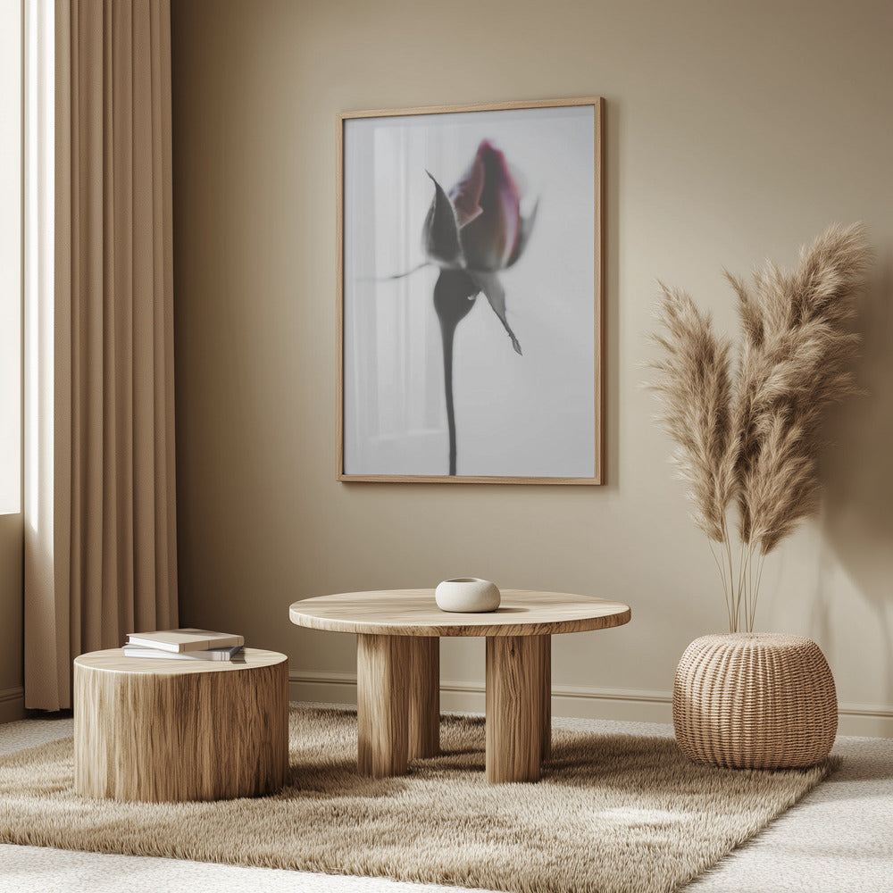 Elegant Rose | Poster