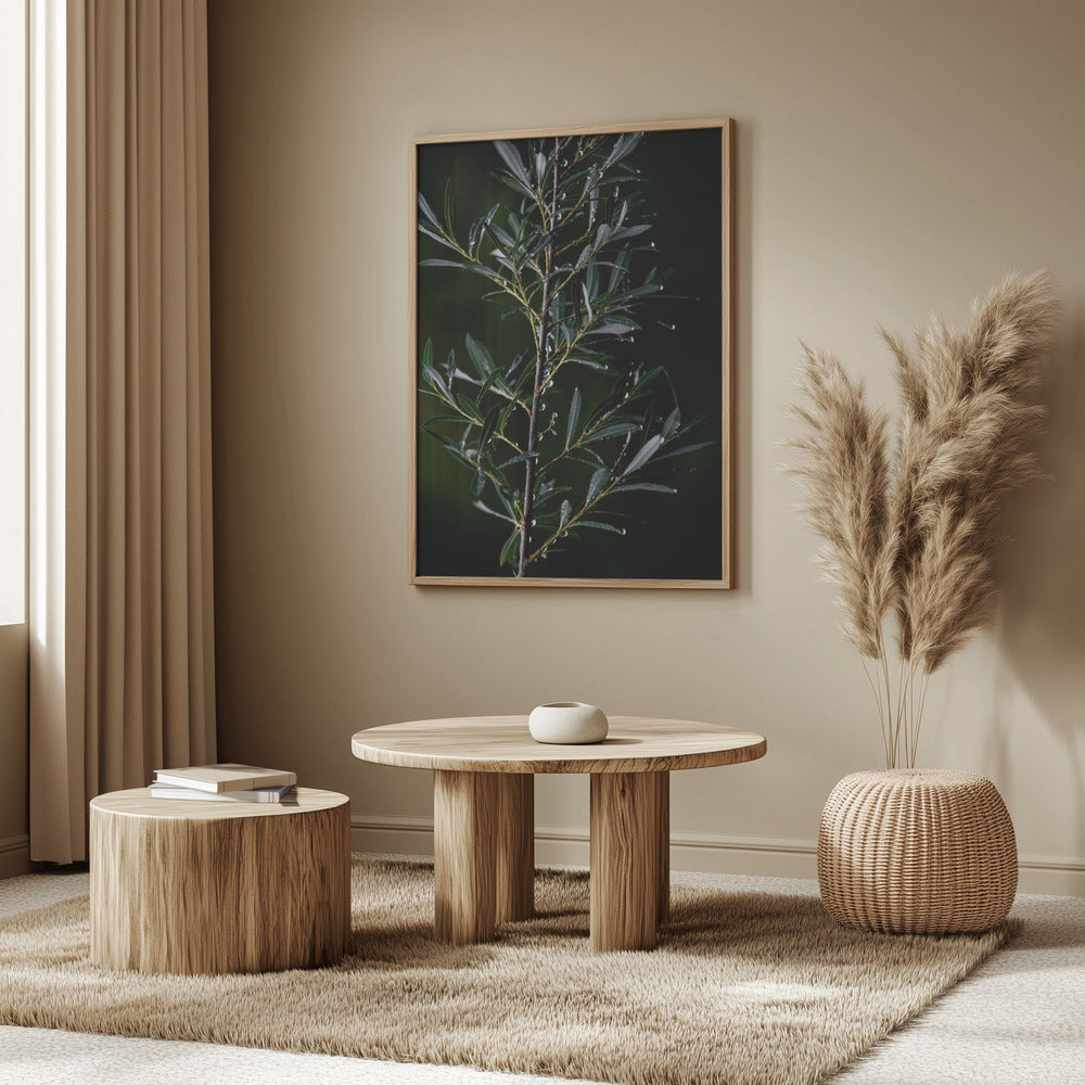 Winter Branches 6 | Poster