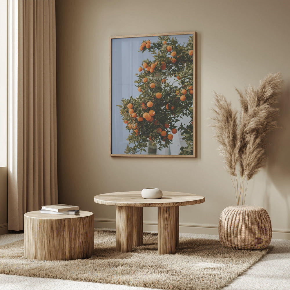 Oranges in Seville | Poster